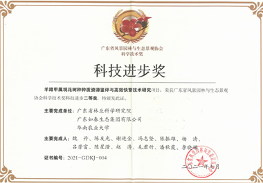 深圳海上田園紅樹(shù)林生態(tài)修復