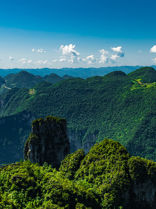 行業(yè)動(dòng)態(tài)