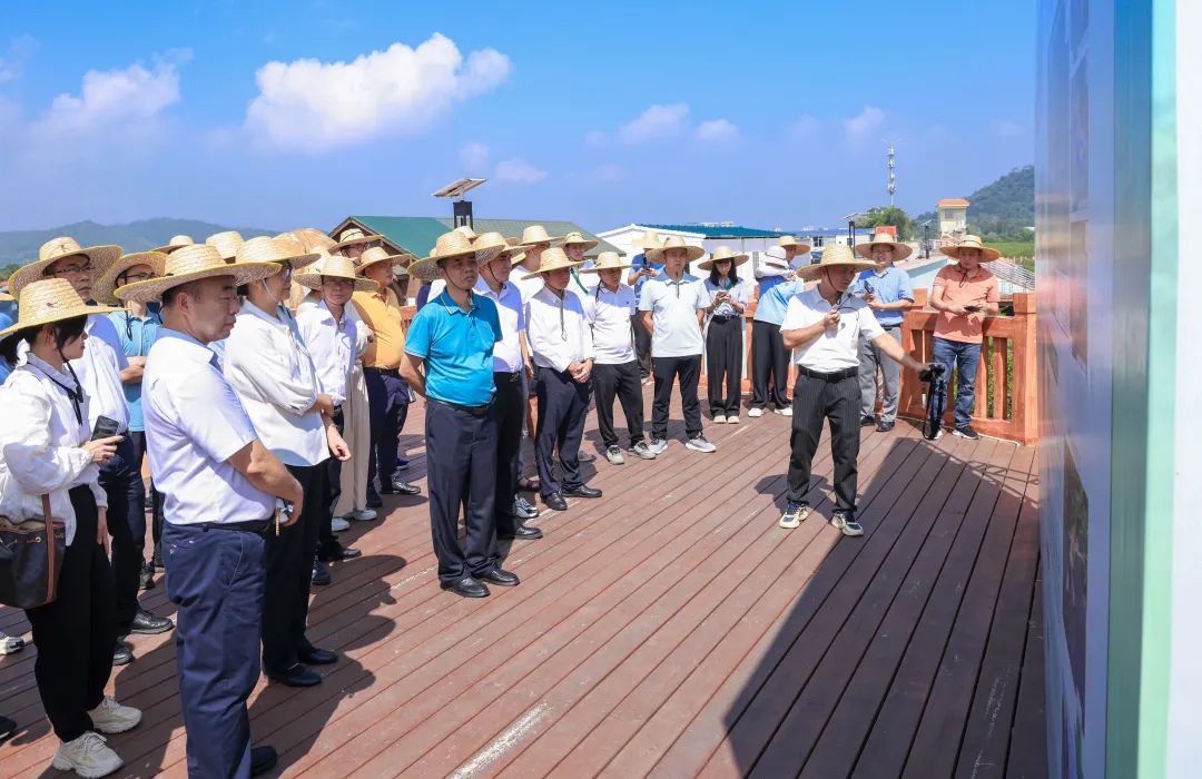 互花米草防治工作交流活動(dòng)