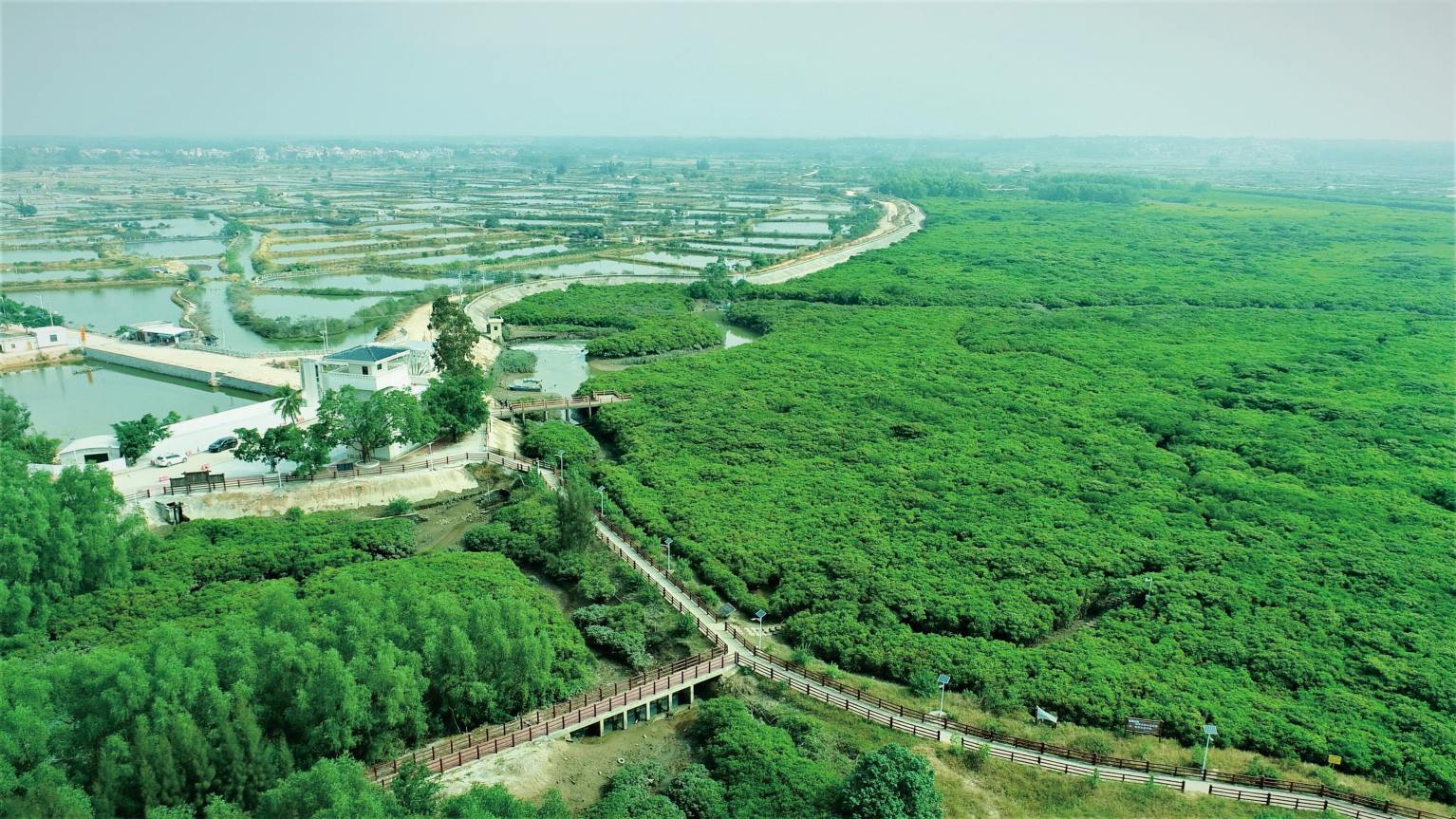 湛江紅樹(shù)林國家級自然保護區濕地保護與恢復工程建設項目