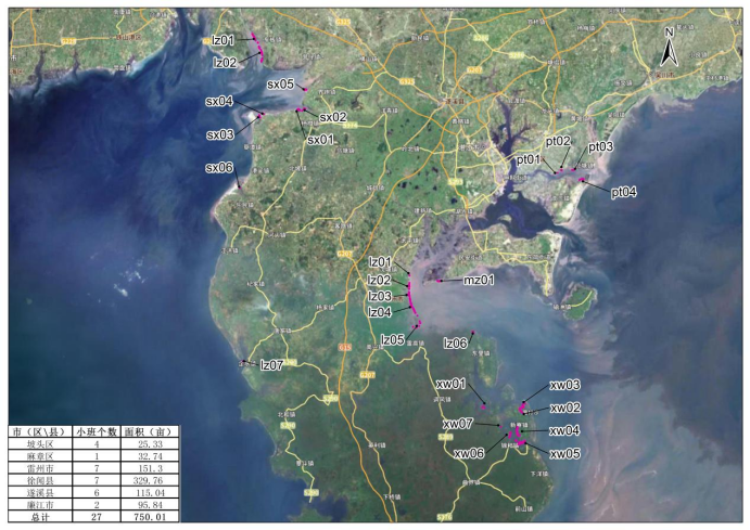 湛江紅樹(shù)林國際重要濕地互花米草消除和濕地退化區改善項目