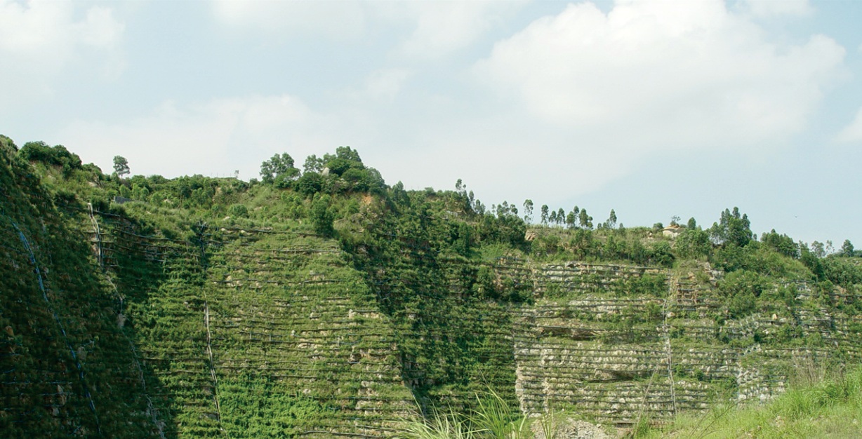 廣州南沙采石場(chǎng)復墾工程科技示范項目