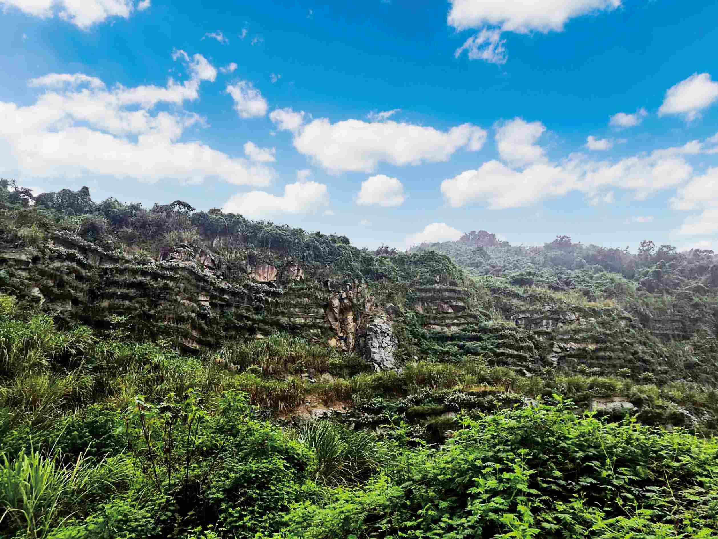 南辰農場(chǎng)鼓嶺閉坑礦山山體修復項目