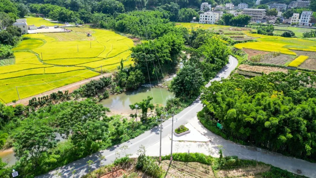 廣東信宜市森林經(jīng)營(yíng)規劃（2019-2050）