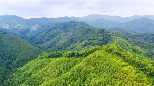 南雄市森林經(jīng)營(yíng)規劃編制（2016-2050年）服務(wù)合同