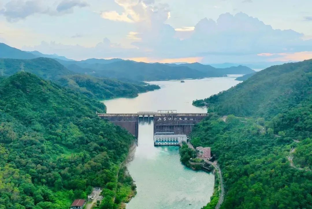 新豐江庫區林地保護利用規劃（2021-2035）編制項目