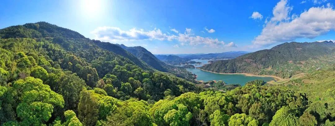 廣州市林地保護利用規劃（2021-2035）編制項目