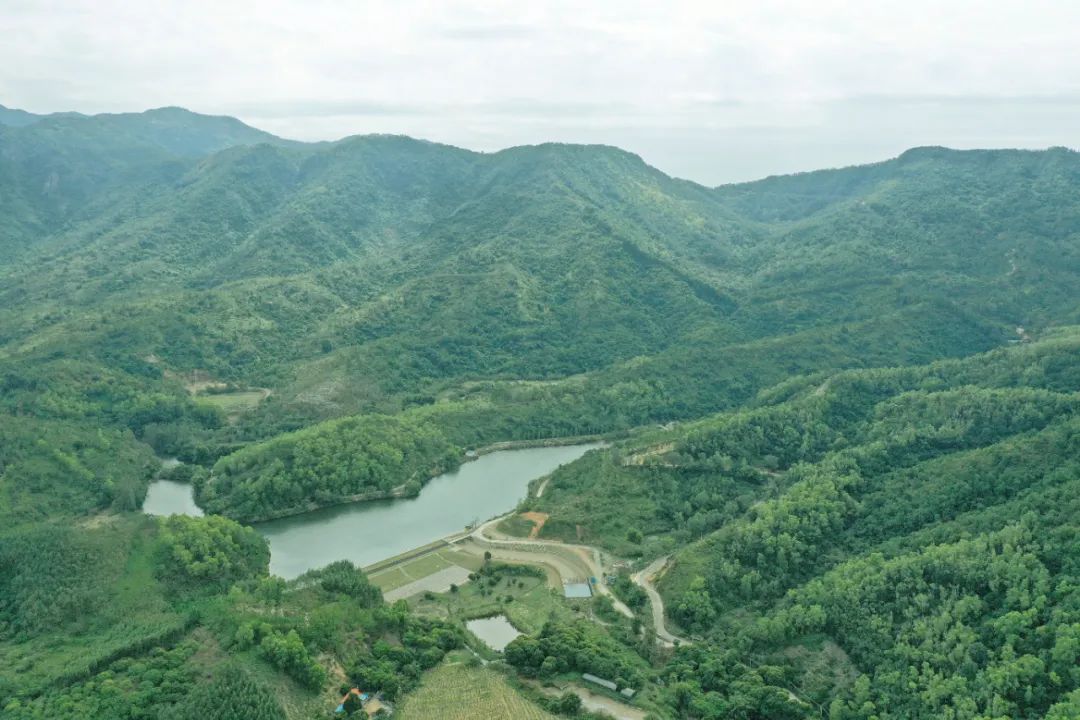 惠州市惠城區森林防火規劃（2018-2025年）編制項目