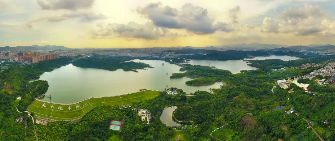 深圳坪山區2018年中幼林撫育項目