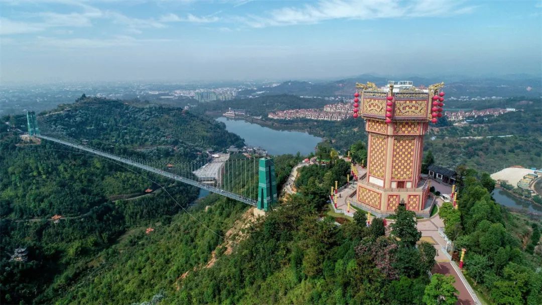 興寧市2018年度森林撫育項目