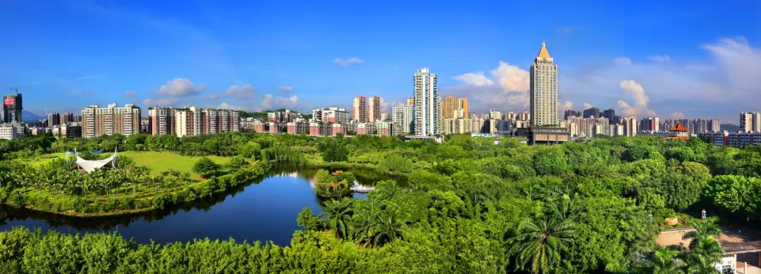 深圳龍崗區生態(tài)防控薇甘菊項目設計項目