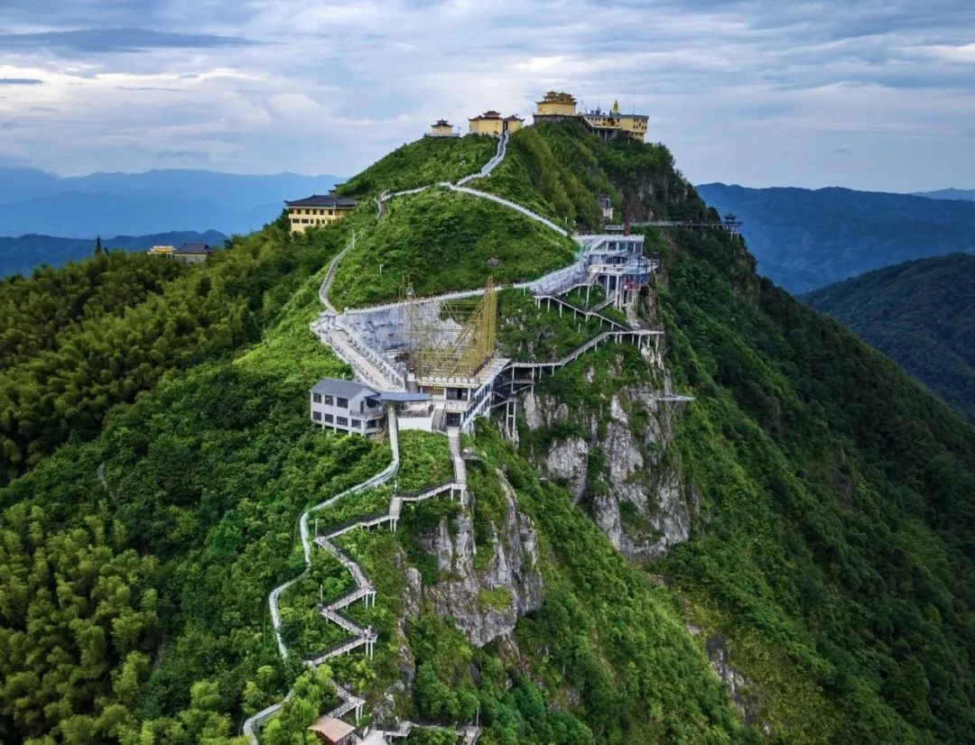 江西省樂(lè )安縣松材線(xiàn)蟲(chóng)病綜合除治