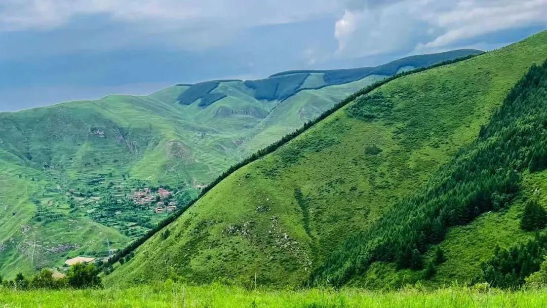 蔚縣2018年國家儲備林基地建設項目第三方檢查驗收