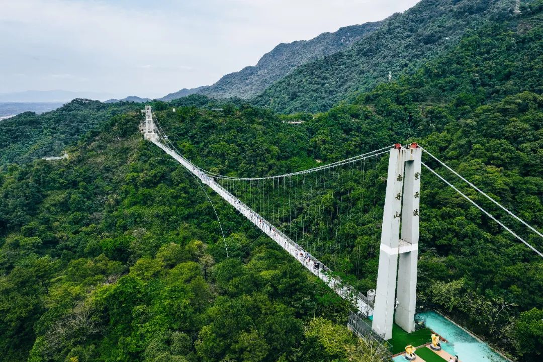 佛山市三水區西南街道2022年林分提質(zhì)改造工程監理項目