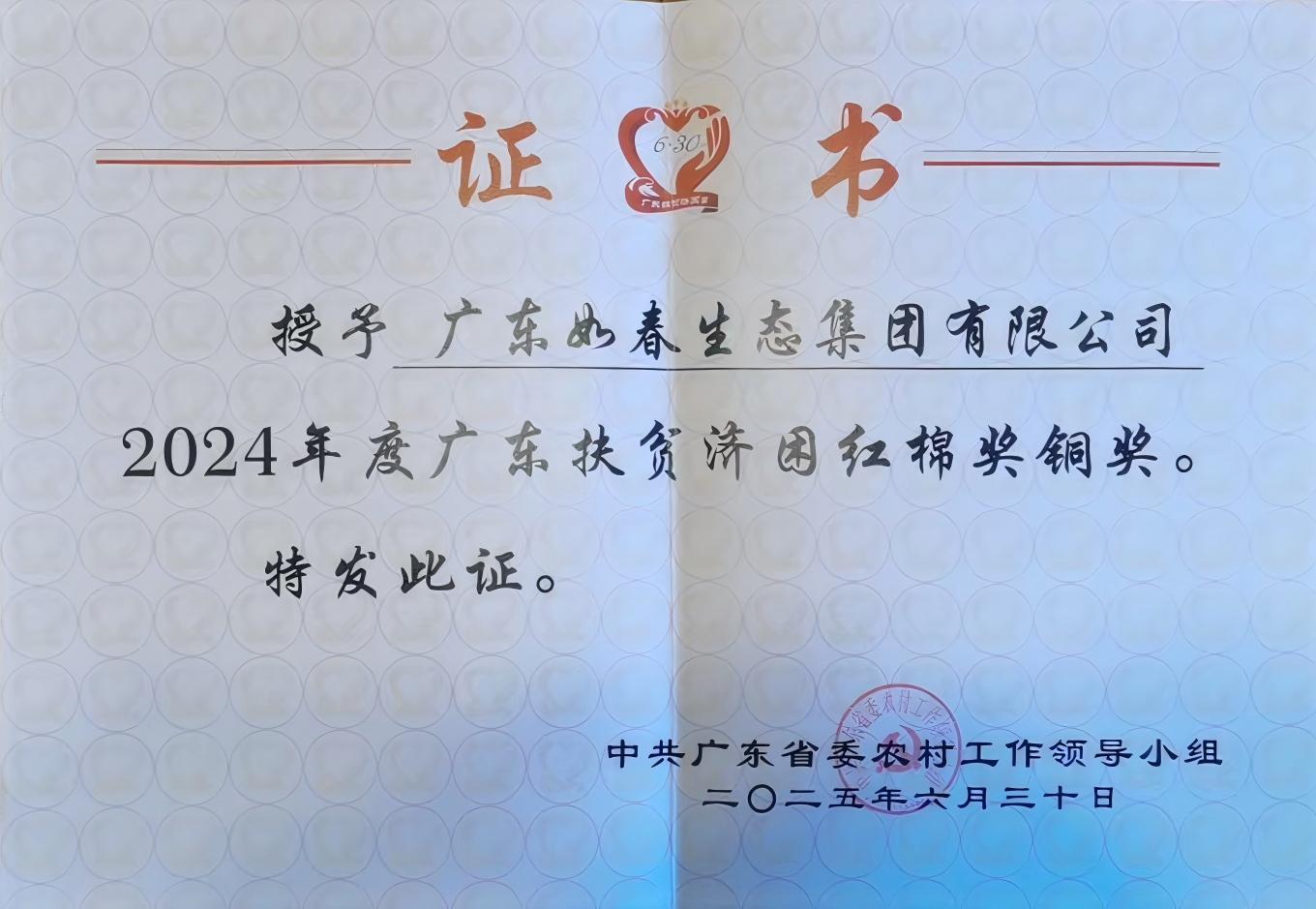 廣東省扶貧濟困紅棉獎銅獎